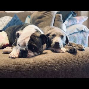 Meet your Posher, Lynzee